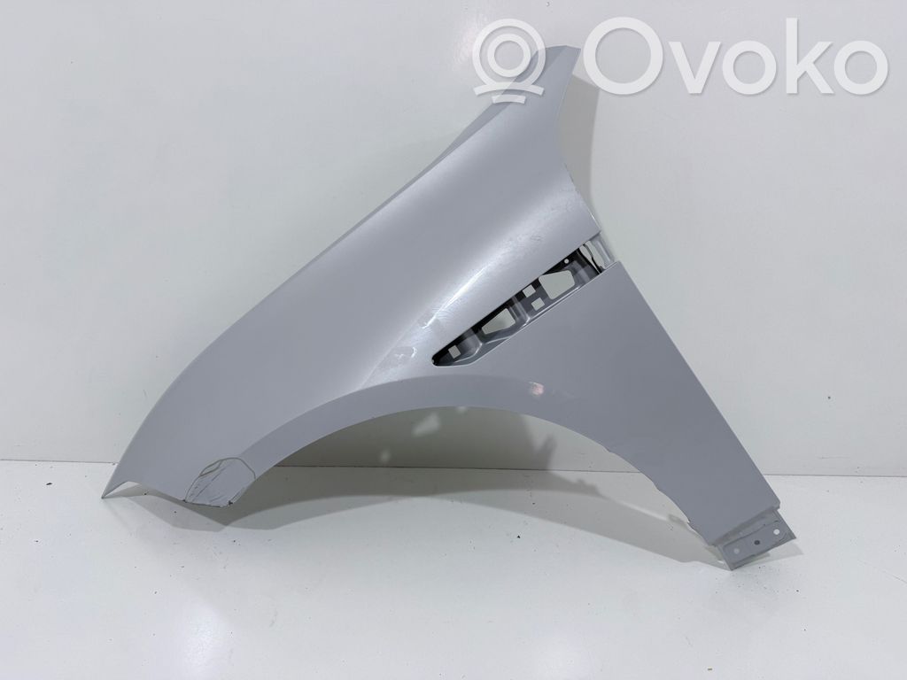 Polestar 4 Guardabarro 