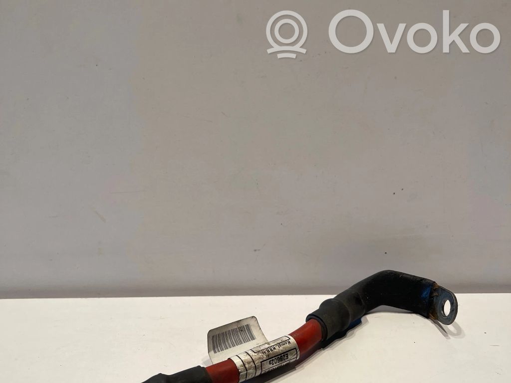 BMW 2 F22 F23 Cablu cu bornă pozitivă (baterie) 