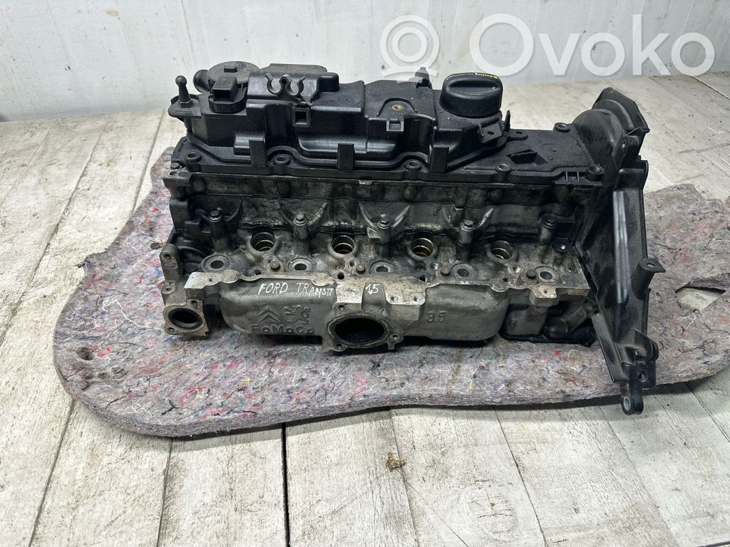 Galvutė   AV2Q6085AA,XVGA,9684487210,9811850880