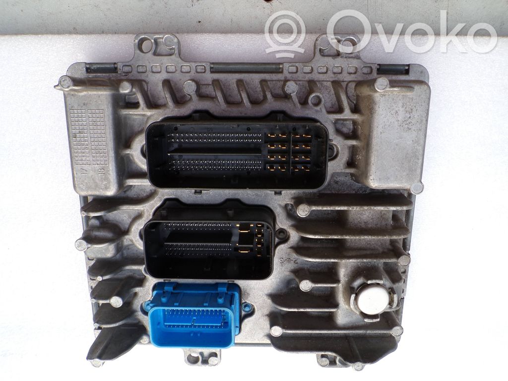 Engine control unit/module   55505569,395357783,1310101000000X