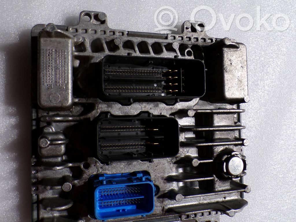 Engine control unit/module   55499362,395357783,1310101000000X