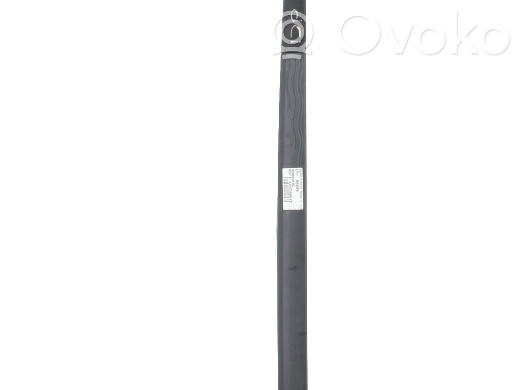 Renault Modus Etuoven lista (muoto)