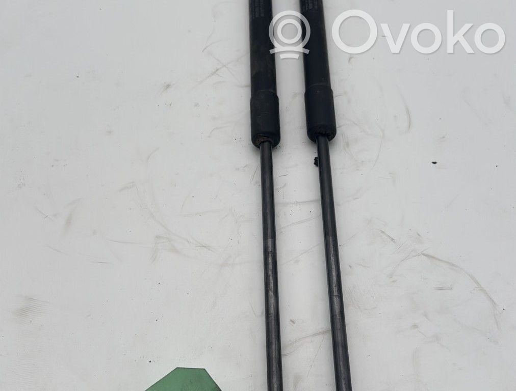 Citroen C4 II Ammortizzatore portellone posteriore/bagagliaio