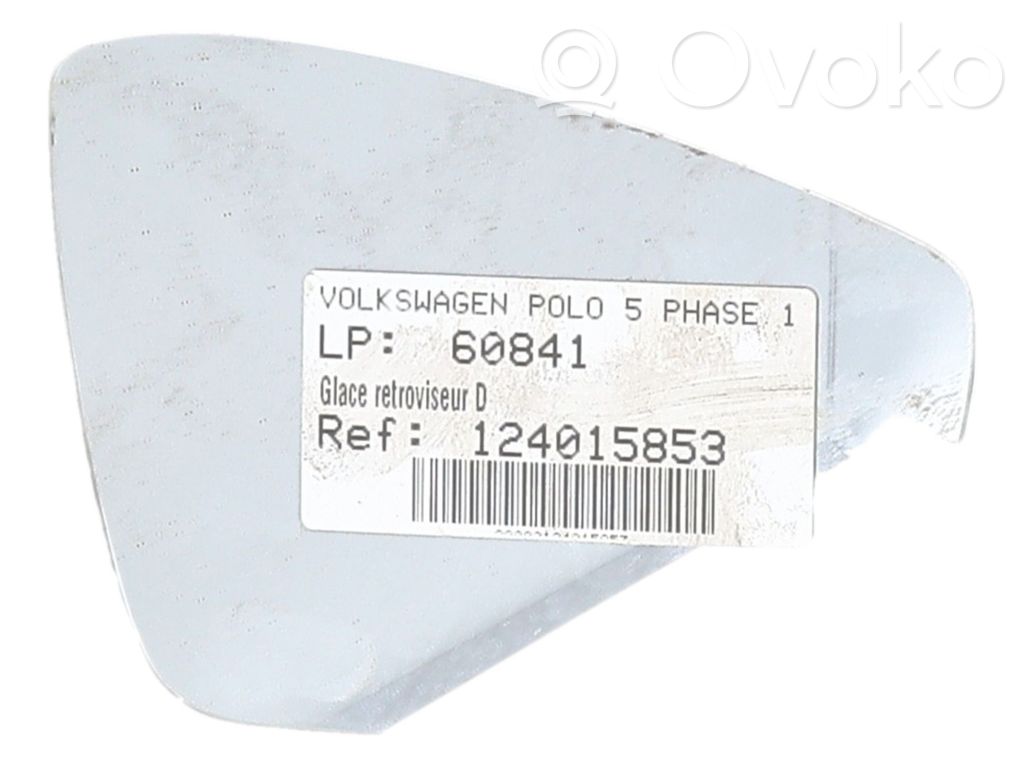 Volkswagen Polo V 6R Elektryczne lusterko boczne drzwi przednich 