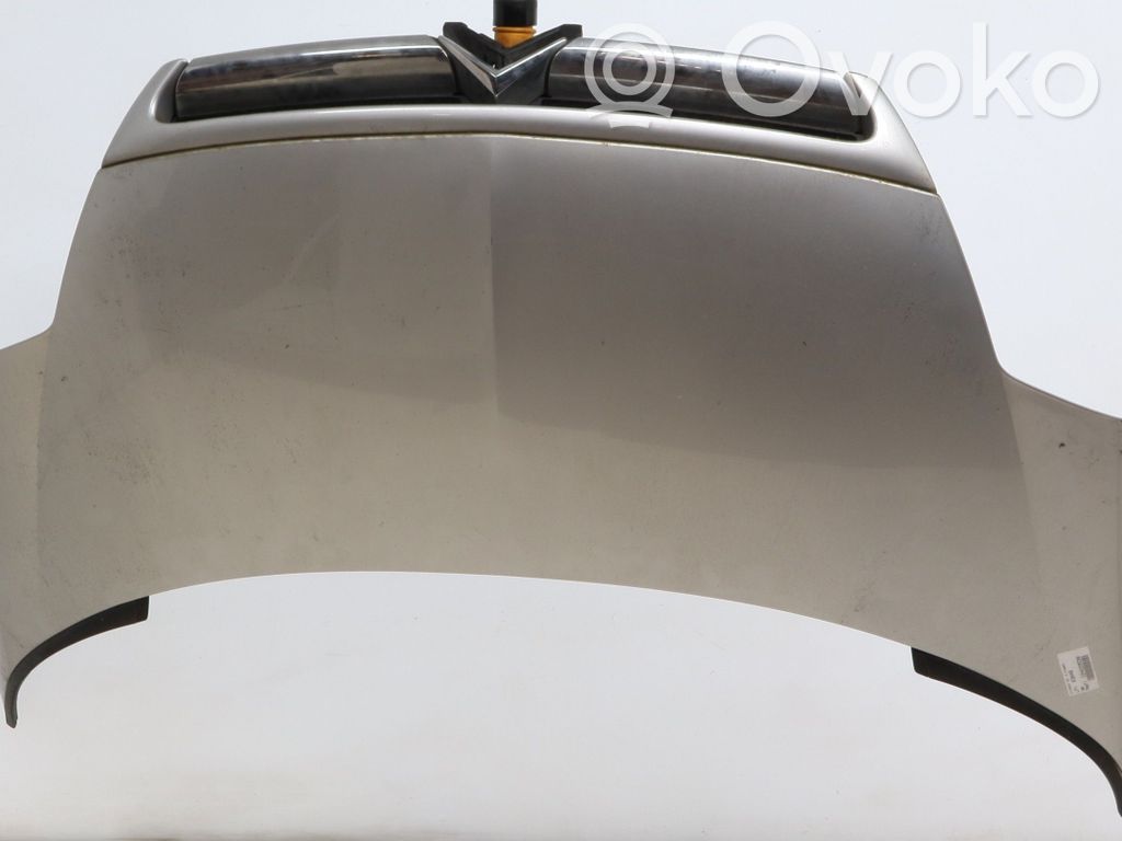 Motorhaube   7901N3