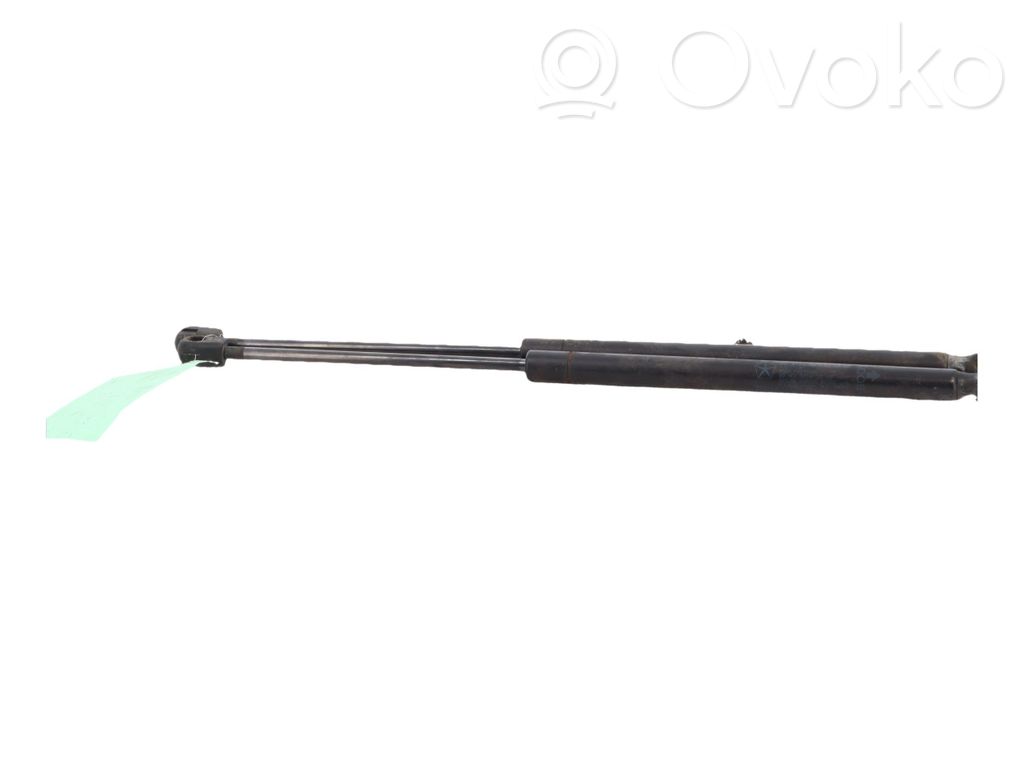 Dodge Caliber Tailgate/trunk strut/damper 