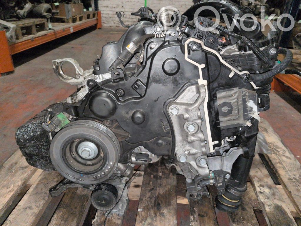 Silnik   1622804880