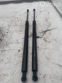 Renault Grand Modus Ammortizzatore portellone posteriore/bagagliaio 