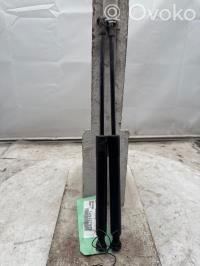 Renault Kangoo II Amortizor capotă motor 