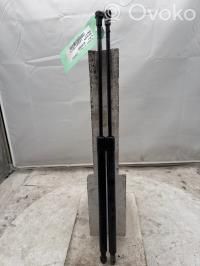 Nissan X-Trail T30 Ammortizzatore portellone posteriore/bagagliaio