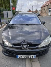 Peugeot 206 Насос ABS 
