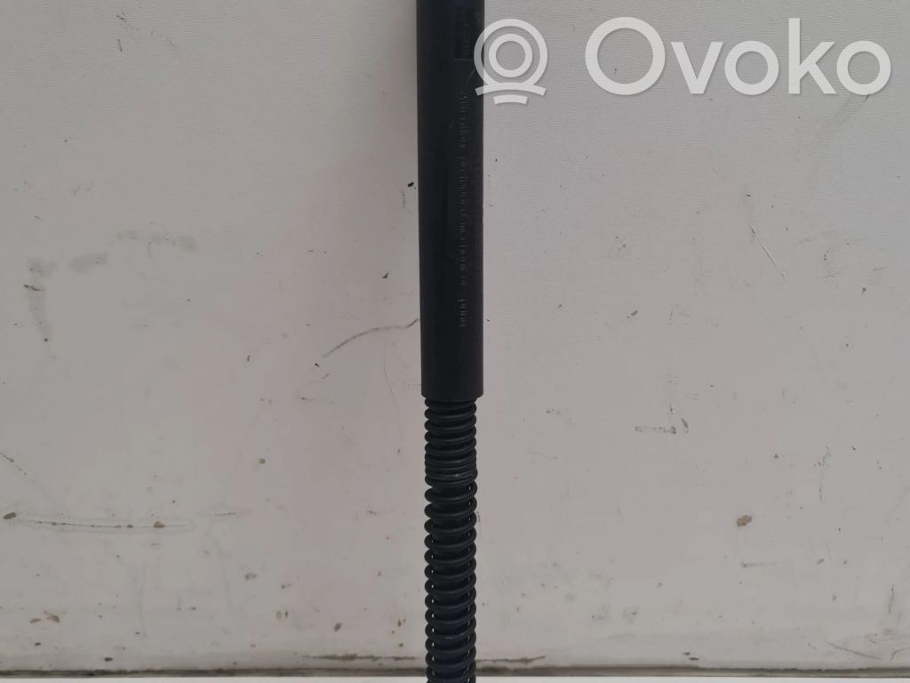 Tailgate/trunk strut/damper   8223811