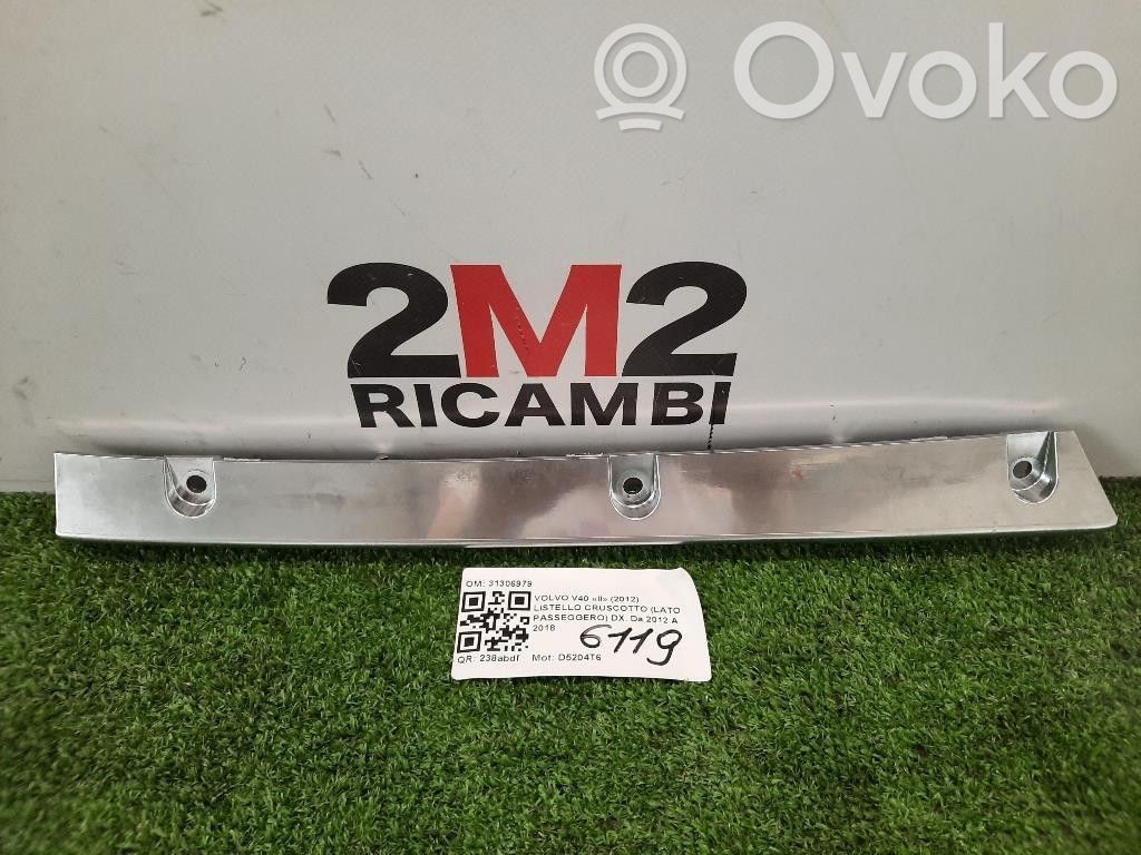 Windshield trim   D5204T6