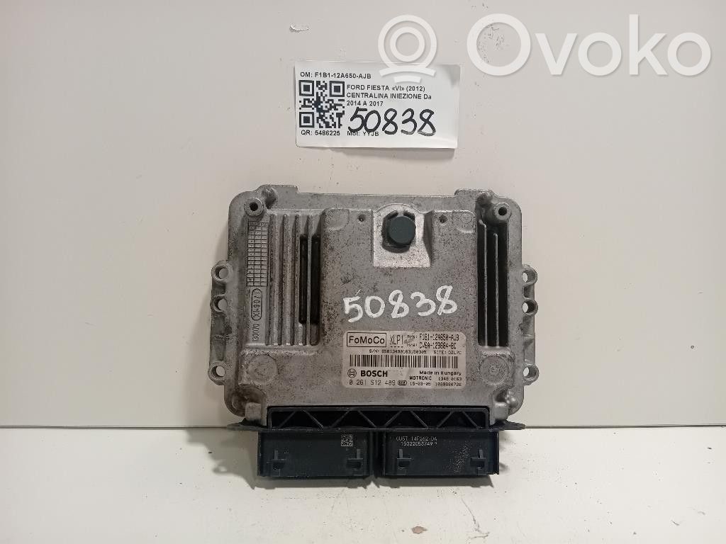 Ford Fiesta Injection control unit/module 