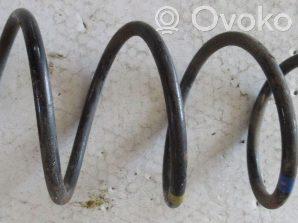 Front coil spring