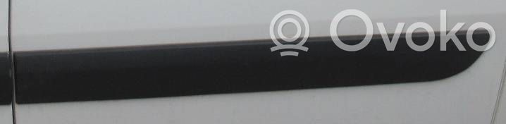 Sliding door trim (molding)