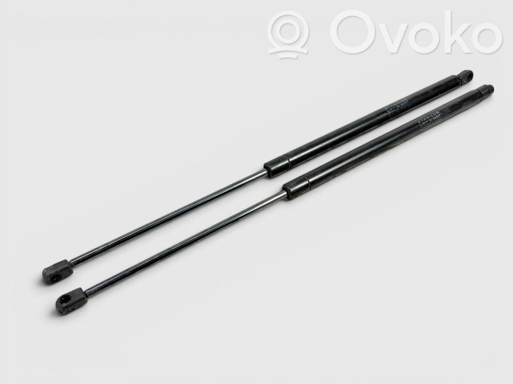 Tailgate strut   15766375,15766376,15746119,15746120