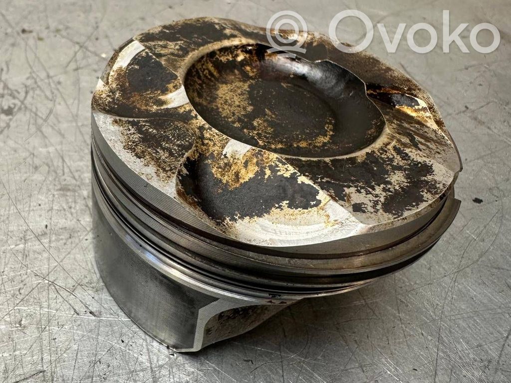 Piston   11257551550