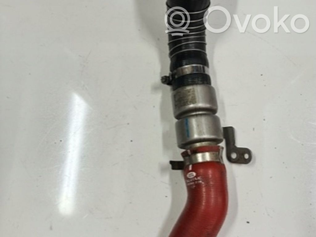 Land Rover Range Rover L322 Interkūlerio žarna (-os)/ vamzdelis (-iai) 