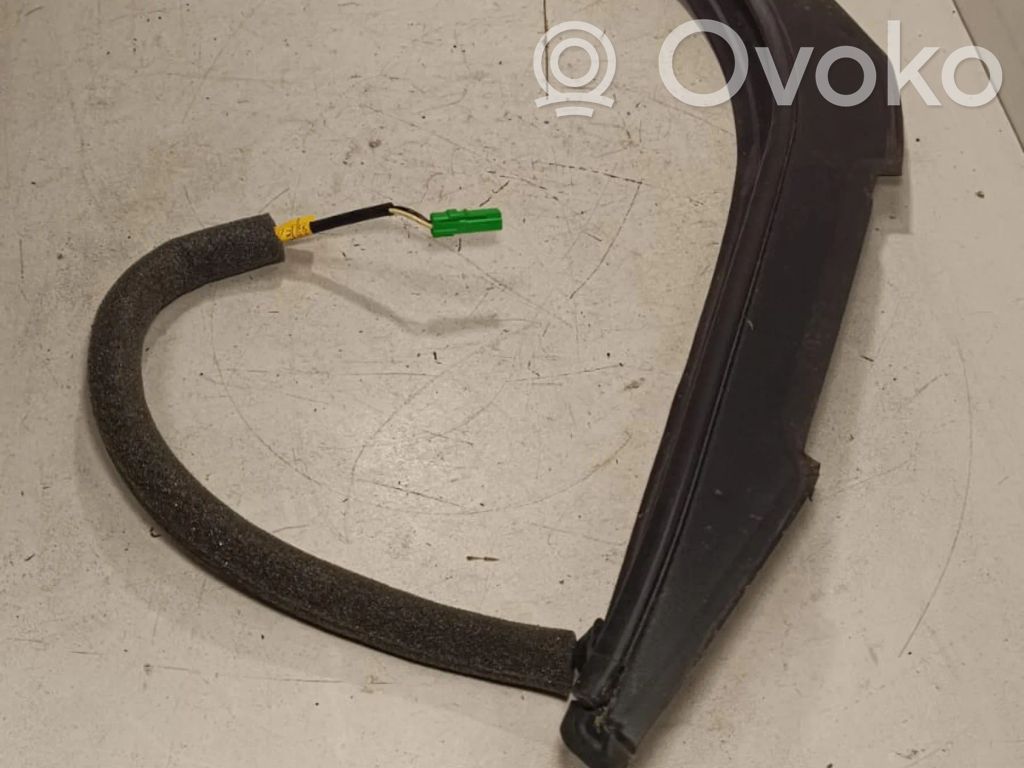 Tailgate trim   N2M5A
