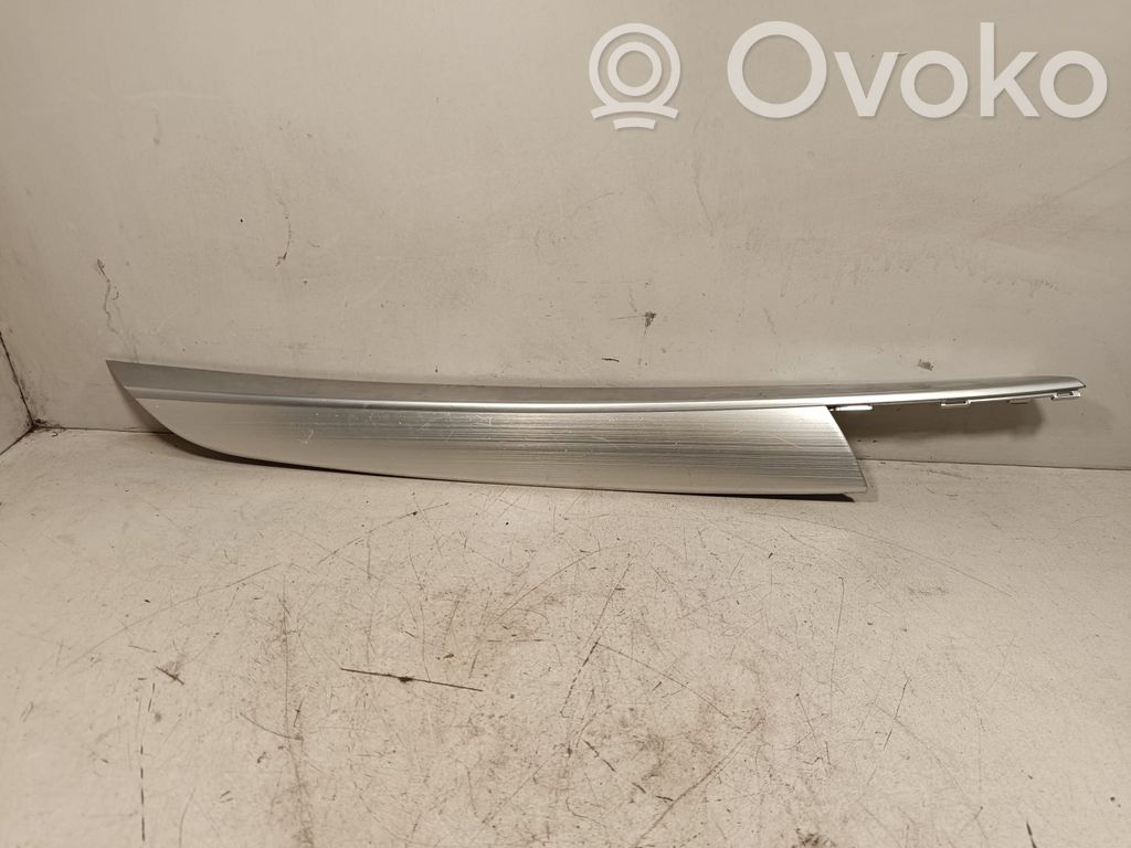 BMW X5 E70 Front door trim bar 