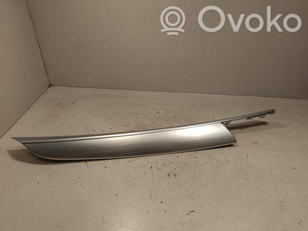 Front door trim bar   4993001