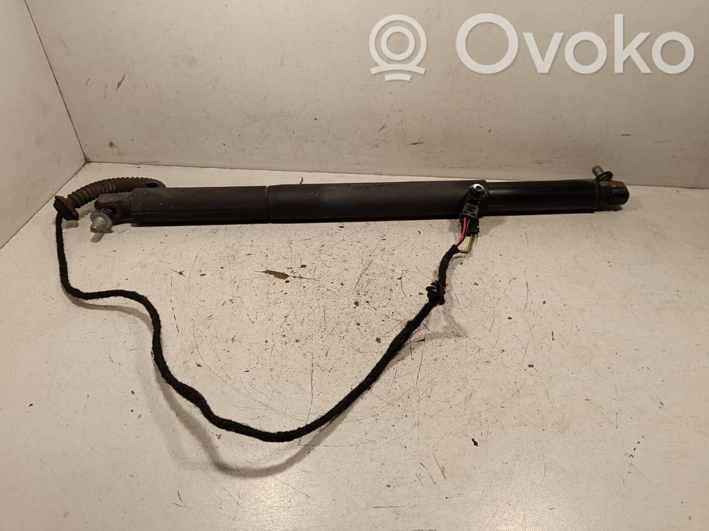 Tailgate/trunk strut/damper   7294589