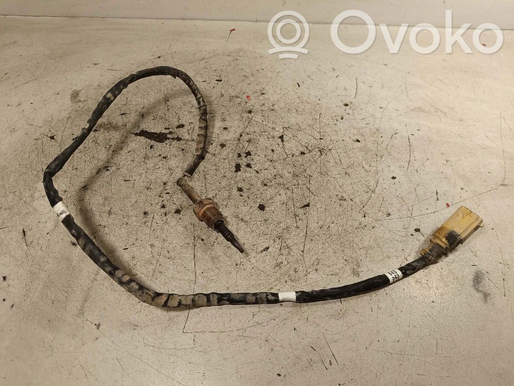 Volkswagen Amarok Exhaust gas temperature sensor 
