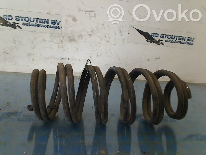 Rear coil spring