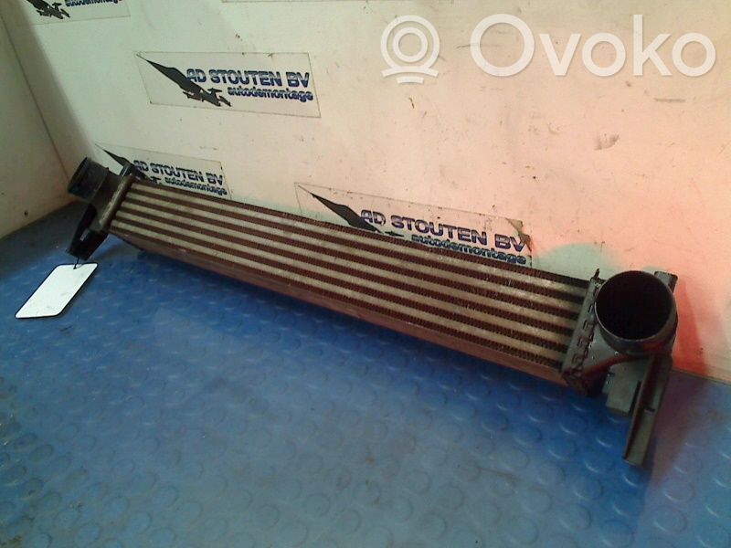 Volkswagen Polo V 6R Radiator intercooler 