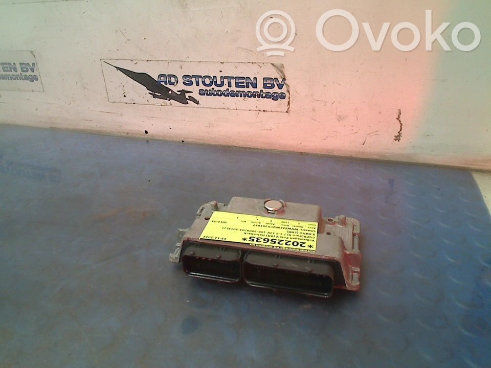 Volkswagen Polo V 6R Centralina/modulo del motore 