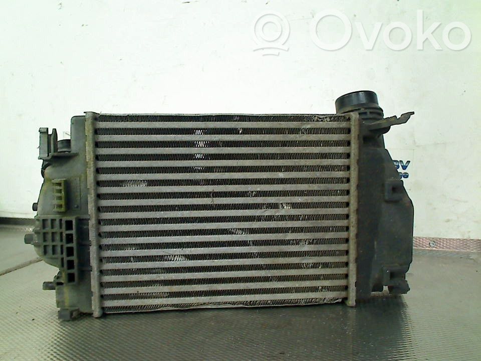 Nissan Qashqai Starpdzesētāja radiators 