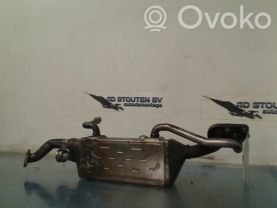 Mercedes-Benz ML W166 Valvola di raffreddamento EGR 