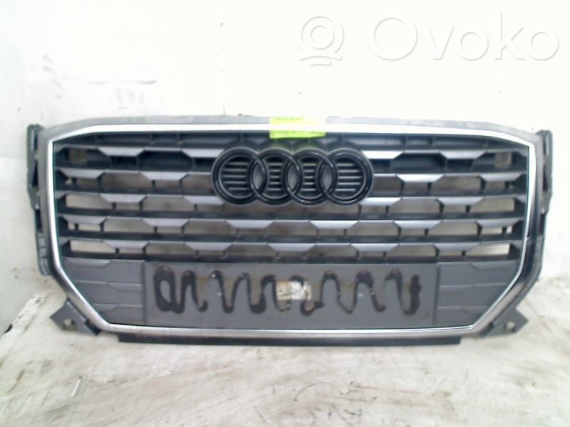 Atrapa chłodnicy / Grill