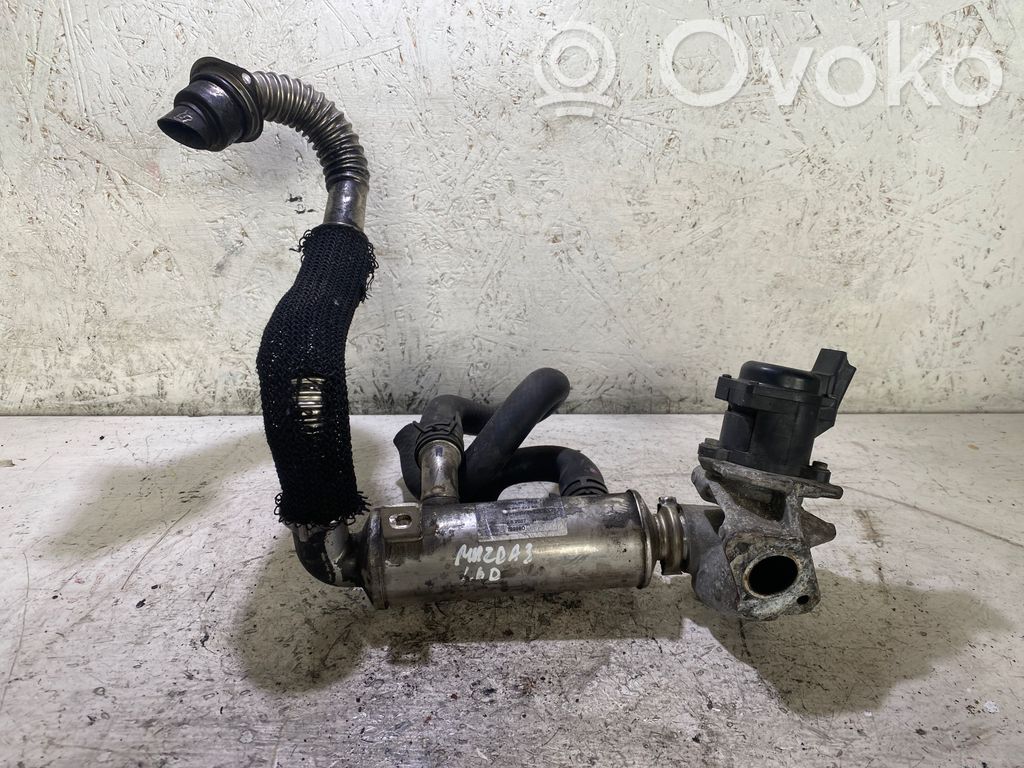 Peugeot 3008 I EGR dzesētājs 
