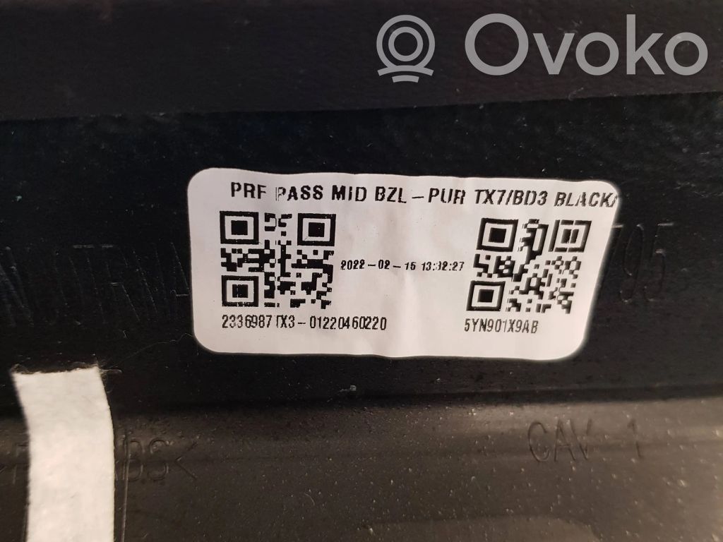 Dodge RAM Panel trim 