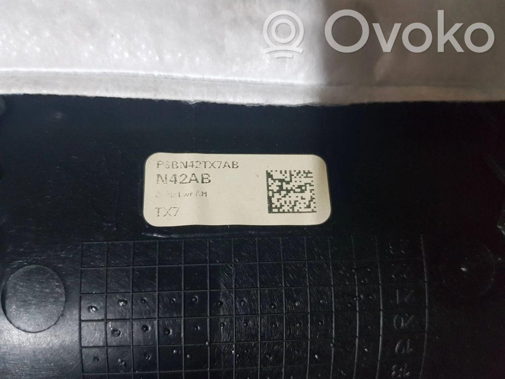 Dodge RAM (C) pillar trim 