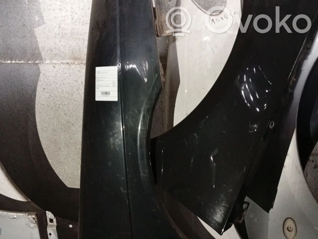 Fender