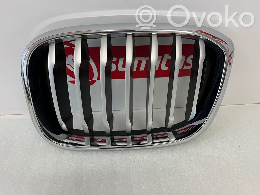BMW X3 G01 Front grill 