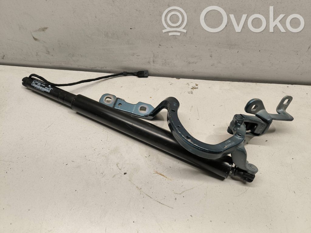 Tailgate/trunk/boot hinge   9630147,7954153