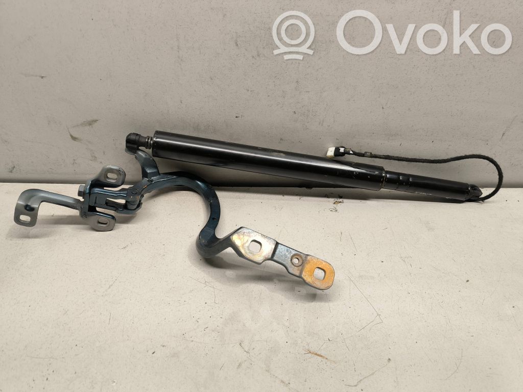 Tailgate/trunk/boot hinge   9630148,7954154