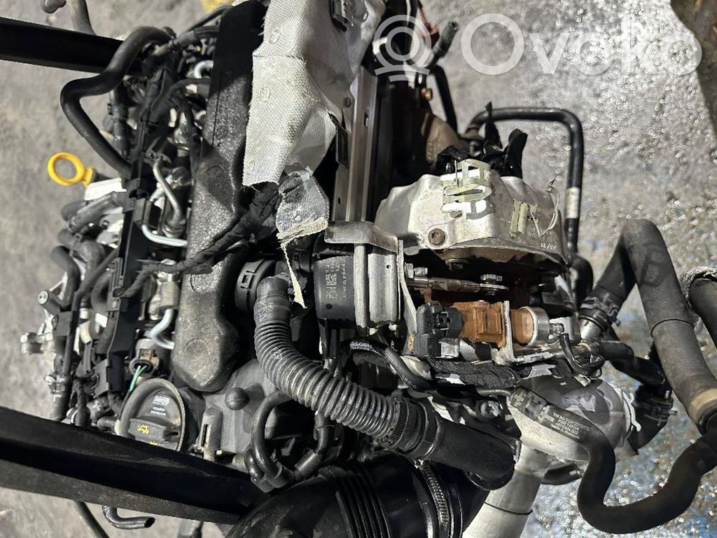 Motor   DFH