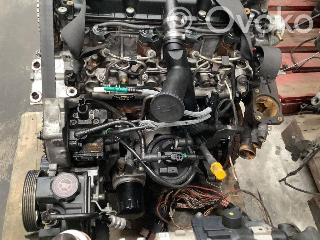 Motor   RHZ
