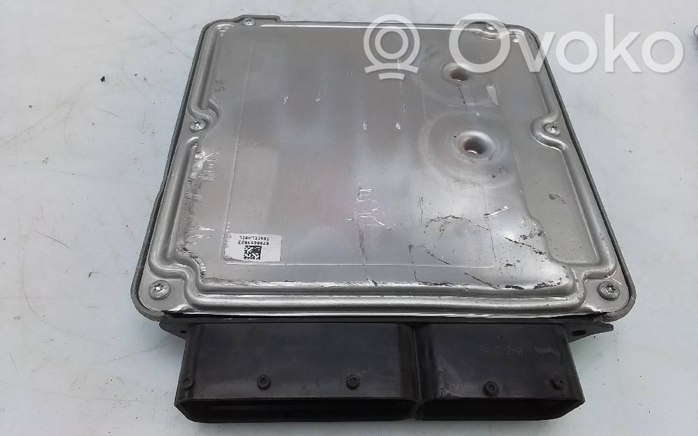 Engine control unit/module   1P0907115D