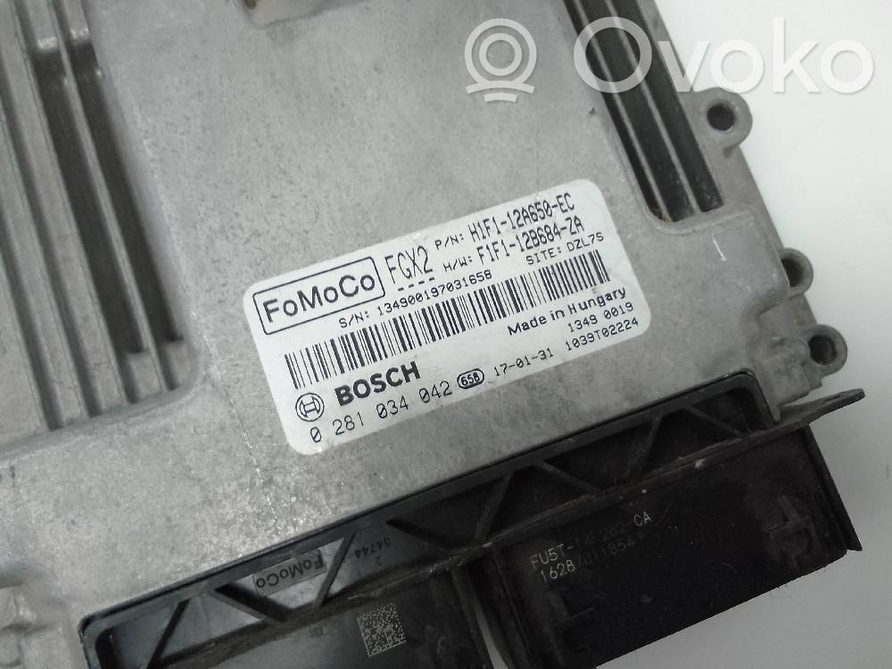 Ford Focus Engine control unit/module 
