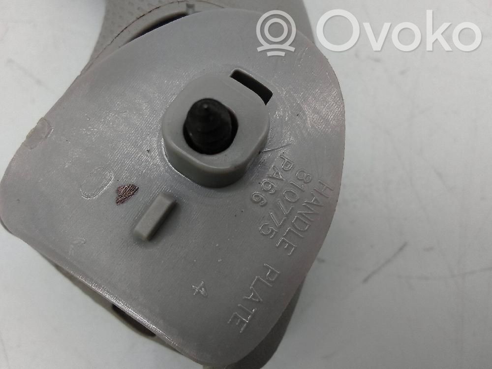 Haltegriff vorne   810775