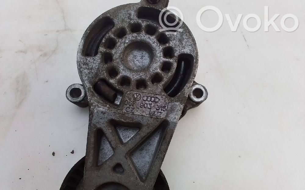Audi TT TTS Mk2 Întinzător curea generator/alternator 