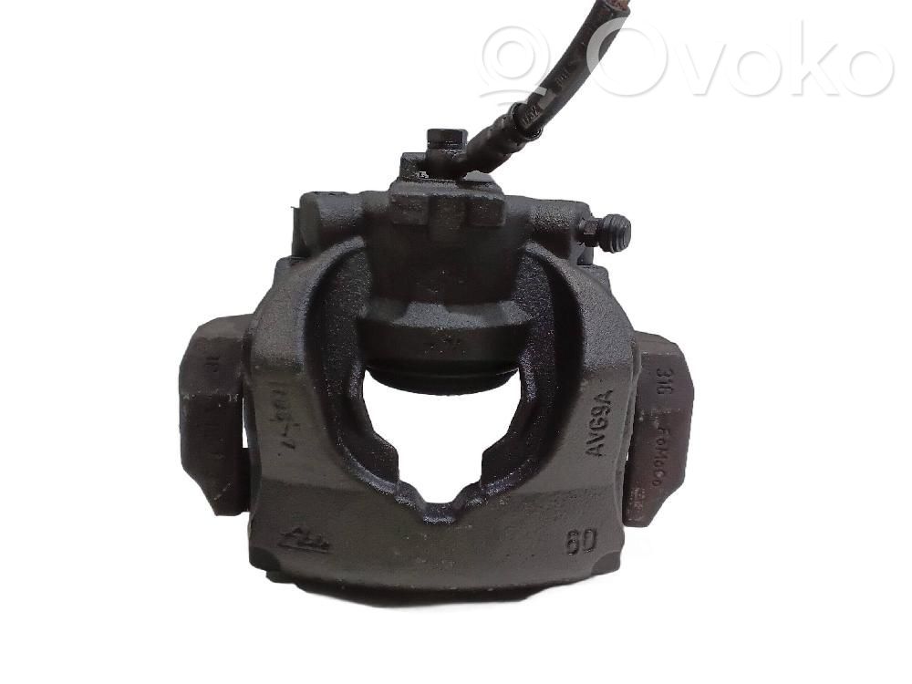 Etujarrusatula   T4N9758