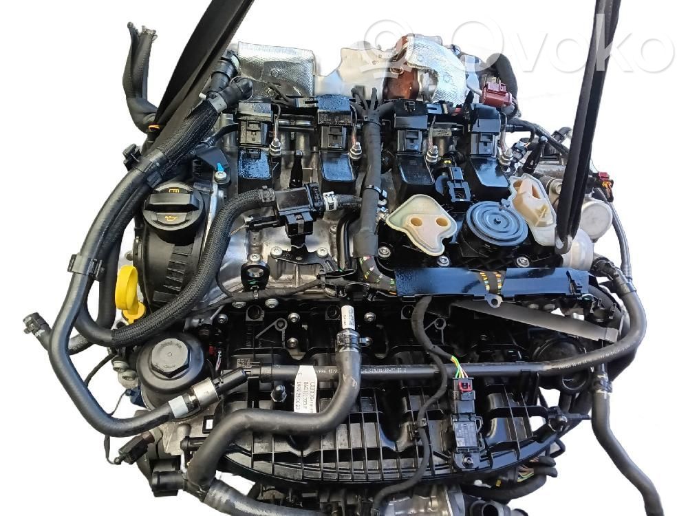 Motor   DNF