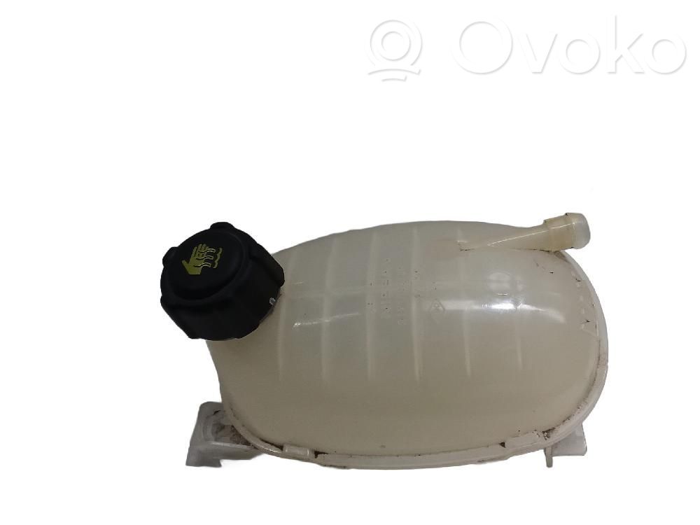 Dacia Sandero III Serbatoio di compensazione del liquido refrigerante/vaschetta 